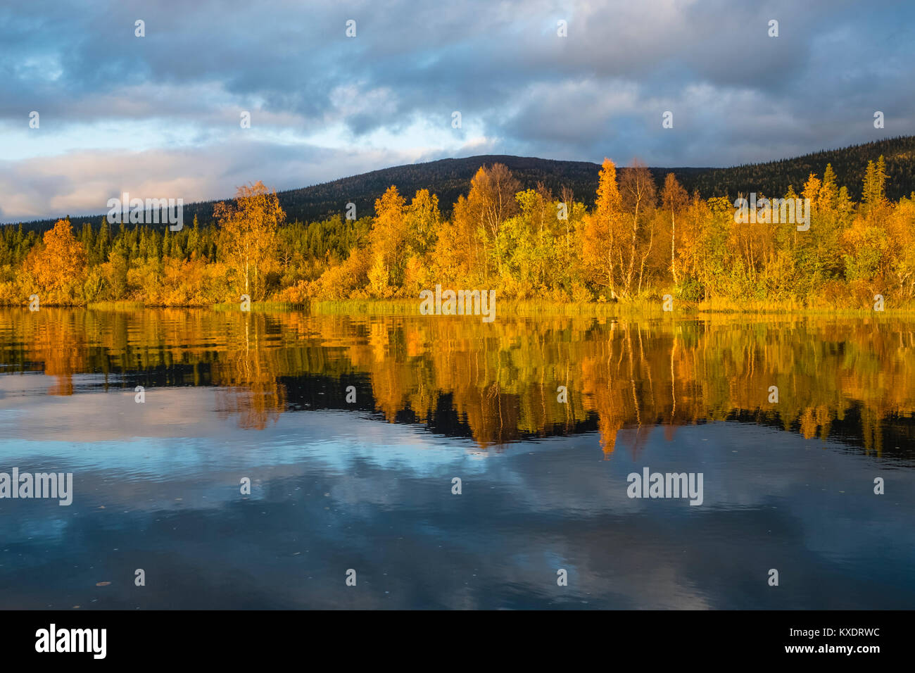 Herbst Landschaft, Spiegelung, Kvikkjokk Delta, Fluss Tarraätno, Sarek Nationalpark, Norrbottens, Norrbottens Län, Laponia Stockfoto