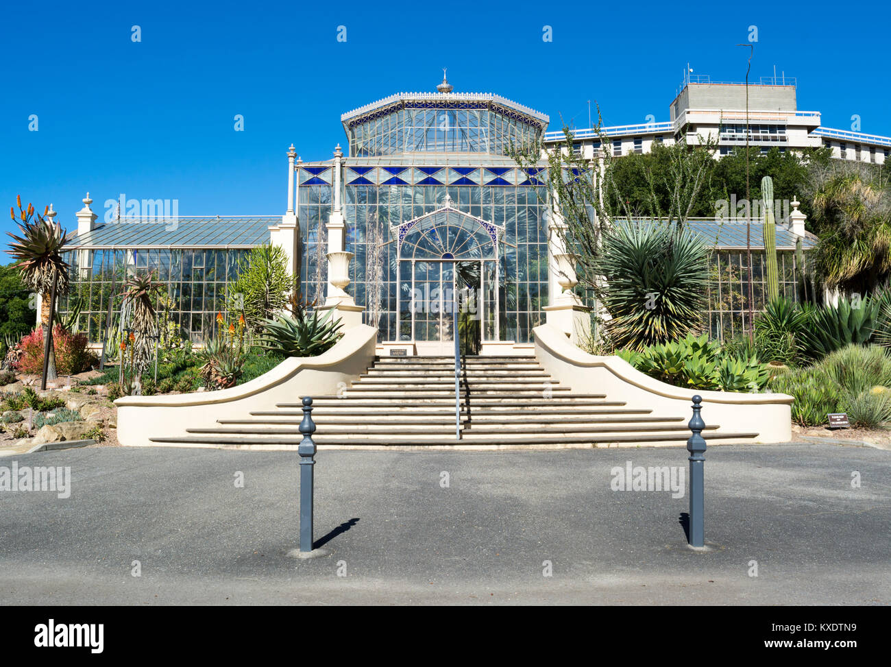 Adelaide, SA, Australien - 13. August 2017: Das Palm House einen Wintergarten, ein Glashaus im Jahre 1875 gebaut und jetzt von Kakteen und Sukkulenten am Ad umgeben Stockfoto