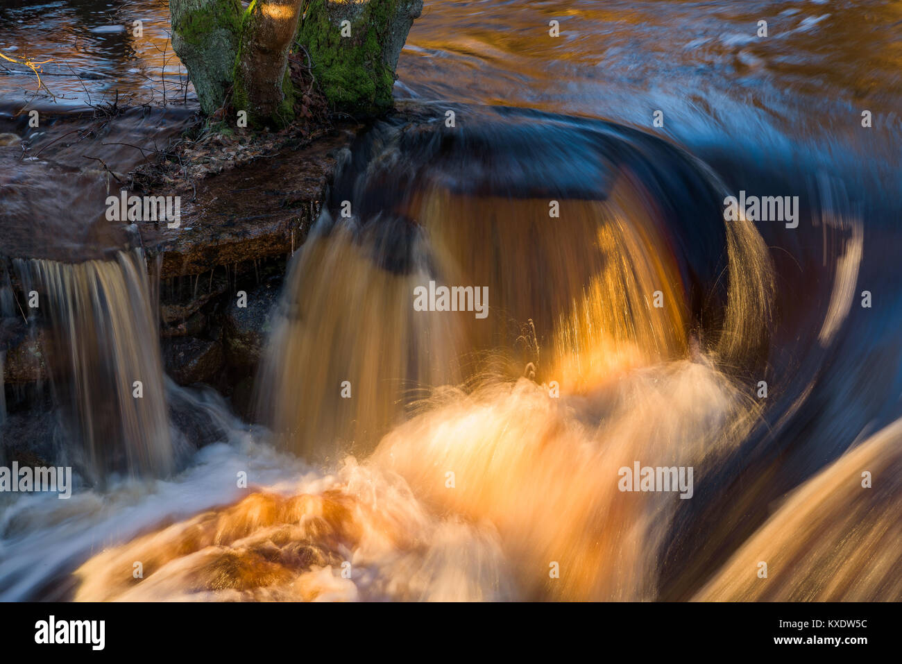 In der Nähe von Fluss Wasser über einen Felsen neben einem Baumstamm fließende, kleine Stromschnellen. Stockfoto