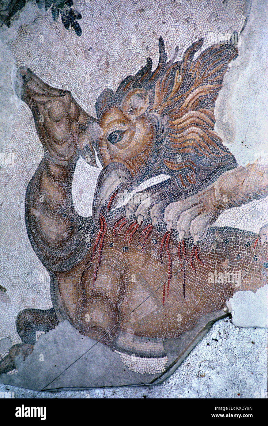 Byzantinische Bodenmosaik der Griffin, Gänsegeier oder Gryphon Angriff auf ein Reh aus der ehemaligen Byzantinischen Großen Palast c 5., Byzanz, Istanbul, Türkei Stockfoto
