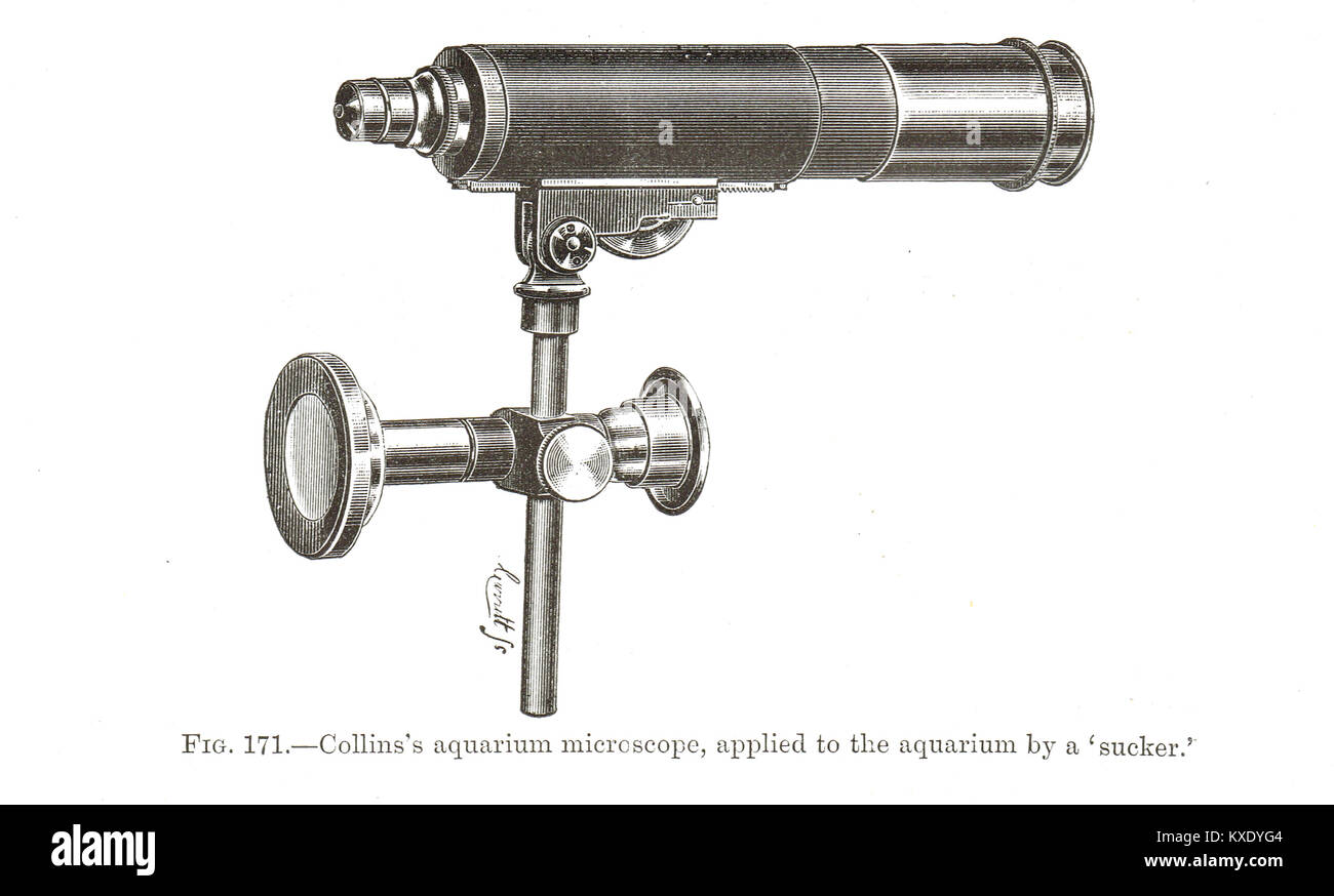 Collins's Aquarium Mikroskop Stockfoto