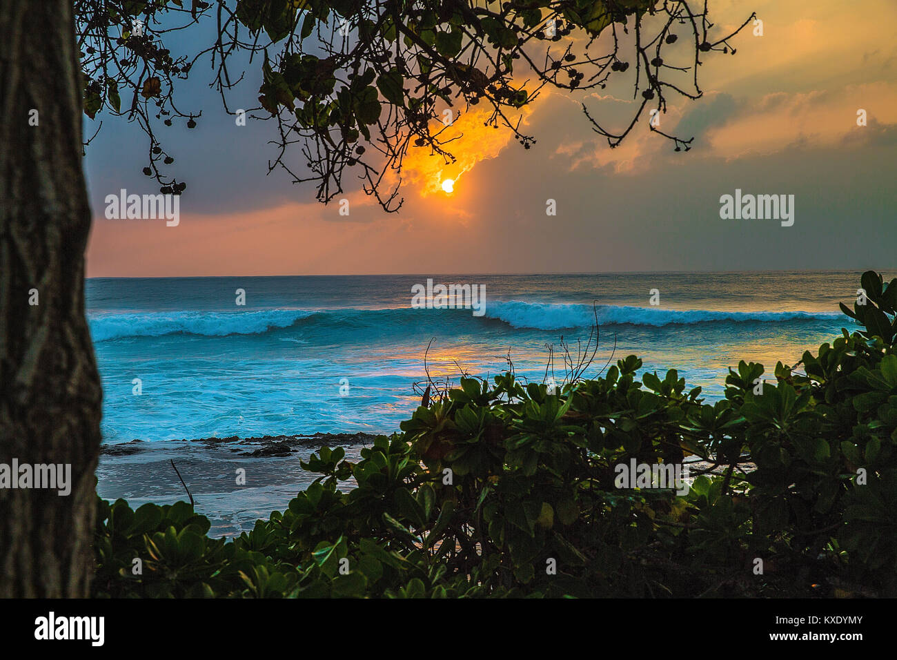 Tropical Hawaiian Sunset Stockfoto