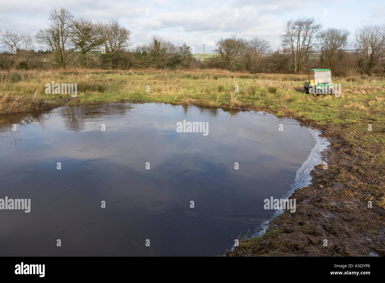 Eine neu gegrabenen Teich, Molche, Eidechsen, Frösche, Kröten und andere Amphibien ziehen, auf einem Bauernhof im ländlichen Wales Stockfoto