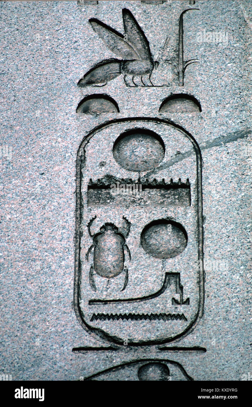 Alten Ägyptischen Hieroglyphen oder hieroglyphischen Inschriften und Symbole auf dem antiken ägyptischen Obelisk (1549-03), auf der Reitbahn, Istanbul, Türkei. Die Symbole gehören Brötchen, ein See, ein skarabäus Käfer, und Wasser. Stockfoto