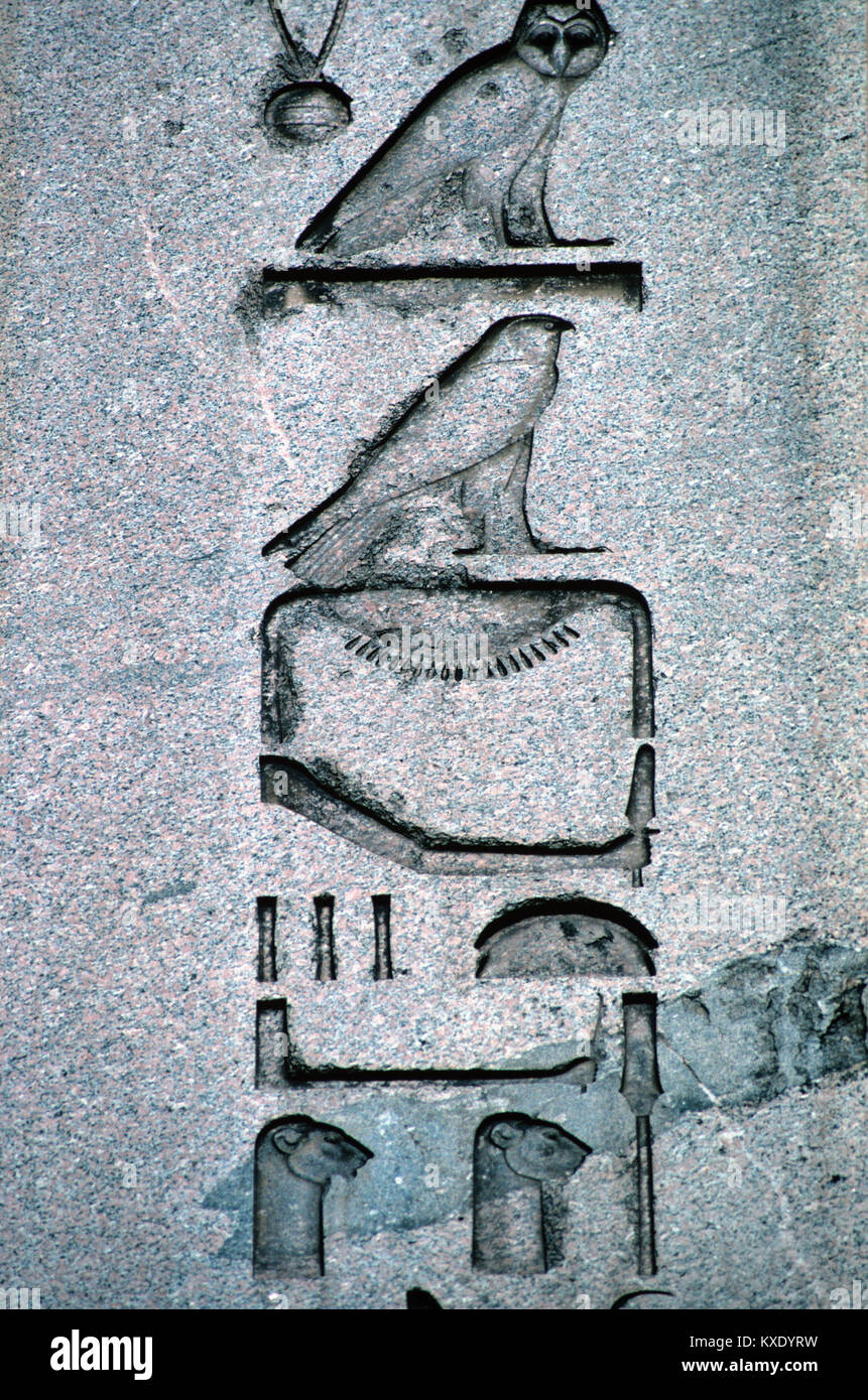 Alten Ägyptischen Hieroglyphen oder hieroglyphischen Inschriften und Symbole auf dem antiken ägyptischen Obelisk (1549-03), auf der Reitbahn, Istanbul, Türkei. Die Symbole gehören eine Eule und ein Falke. Stockfoto