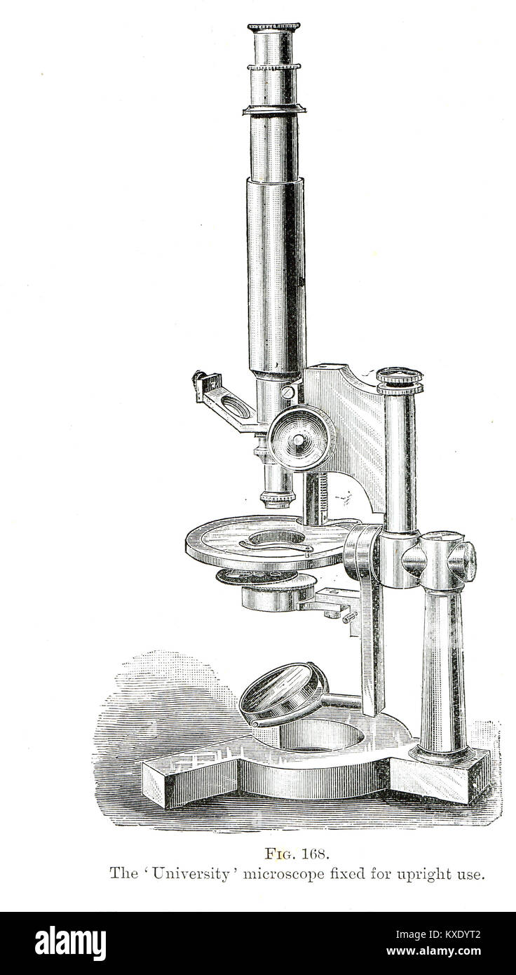 Die Universität Mikroskop für die Aufrechte verwenden Sie feste Stockfoto
