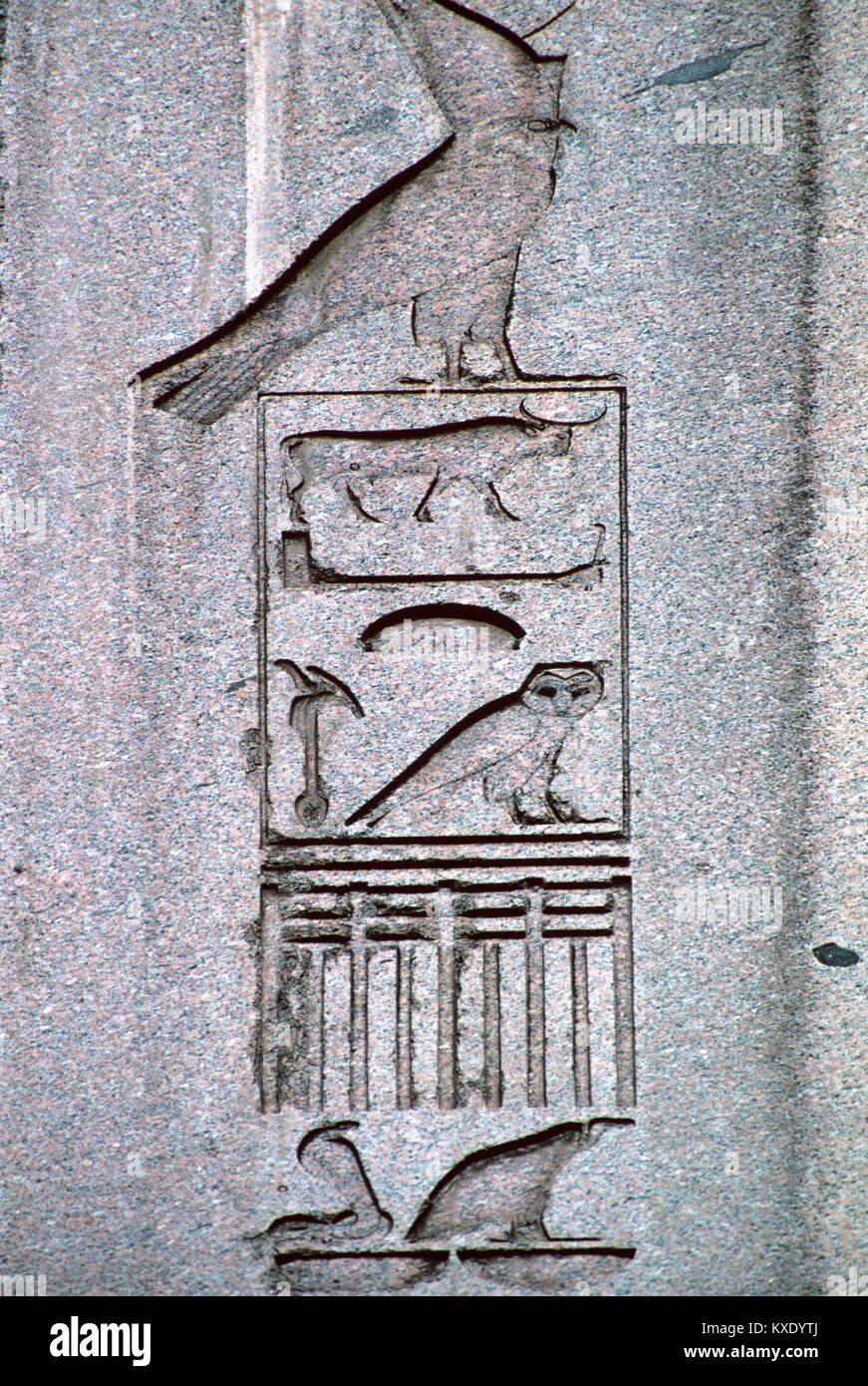 Alten Ägyptischen Hieroglyphen oder hieroglyphischen Inschriften und Symbole auf dem antiken ägyptischen Obelisk (1549-03), auf der Reitbahn, Istanbul, Türkei Stockfoto