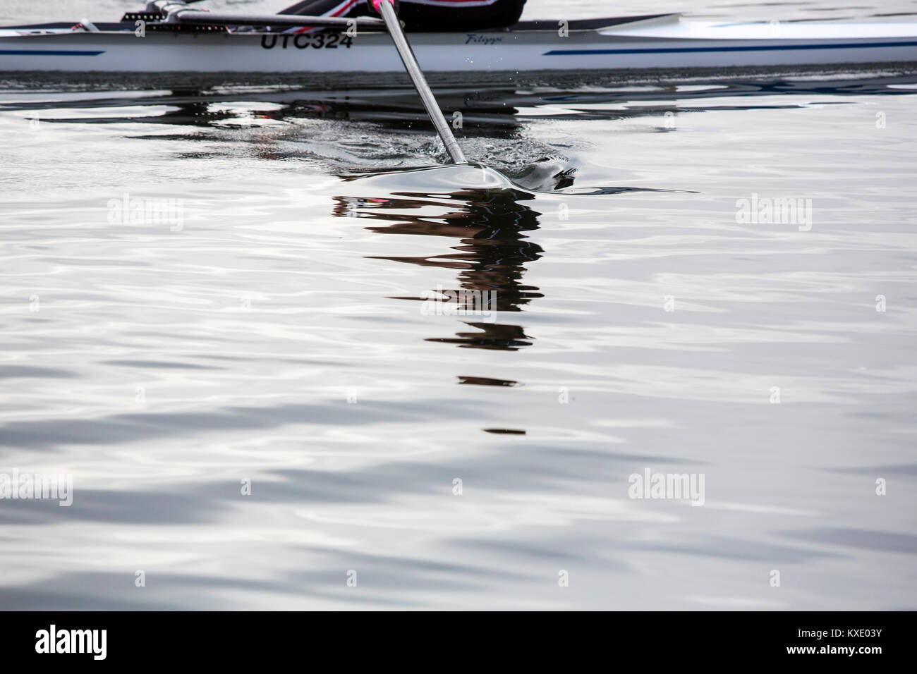 Eine einzelne ruderer auf einem Fluss skulling durch die sanfte Plätschern des Wassers. Stockfoto