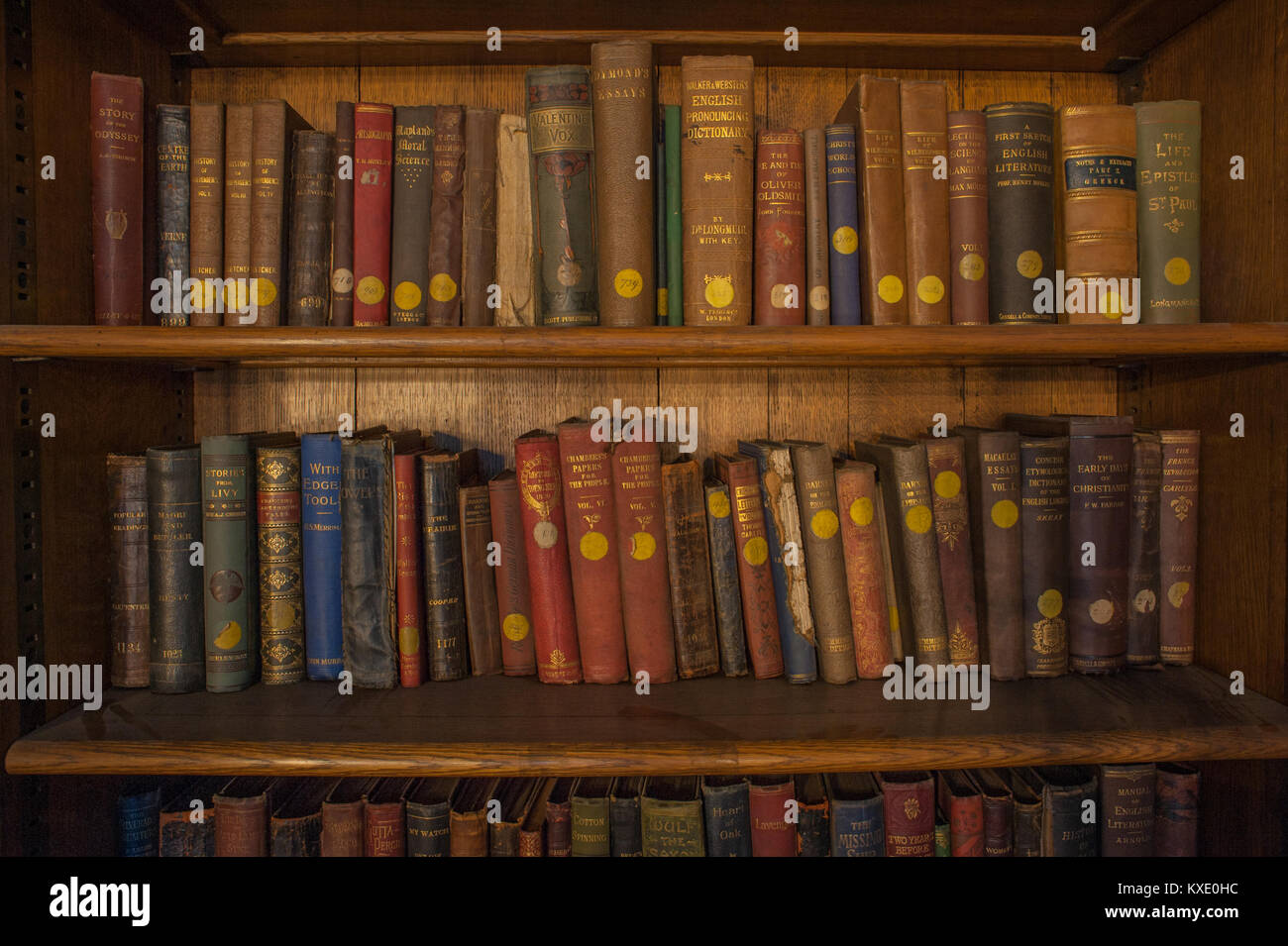 Ein Bild des Inneren der John Rylands Library in Manchester City Centre. Die John Rylands Library ist eine spät-viktorianischen neo-gotischen Gebäude auf De Stockfoto