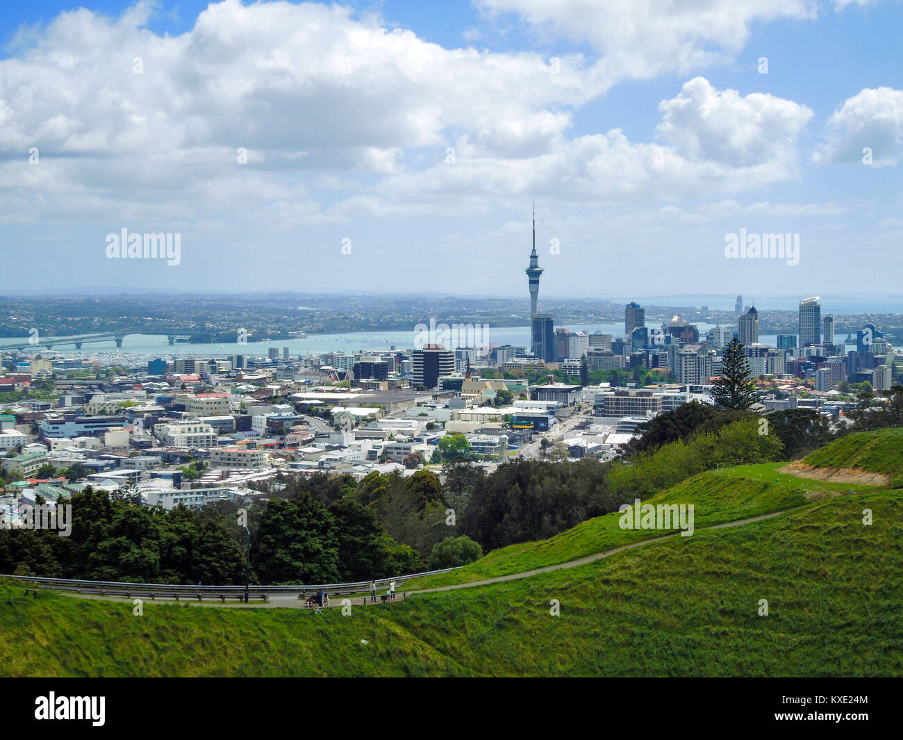 Mit Blick auf Auckland Sky Tower aus dem Vulkan, Vulkankrater, Mt Eden Domain, Neuseeland North Island. Stockfoto
