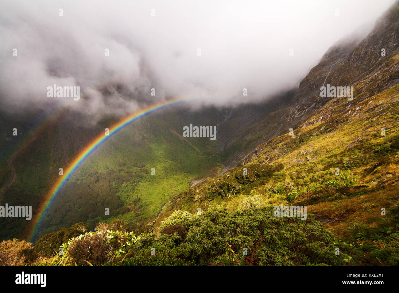 Regenbogen im Gebirge nach Regen, in der Nähe von Mintaro entfernt Hutt und Mackinnon Pass auf dem Milford Track Fiordland National Park Stockfoto