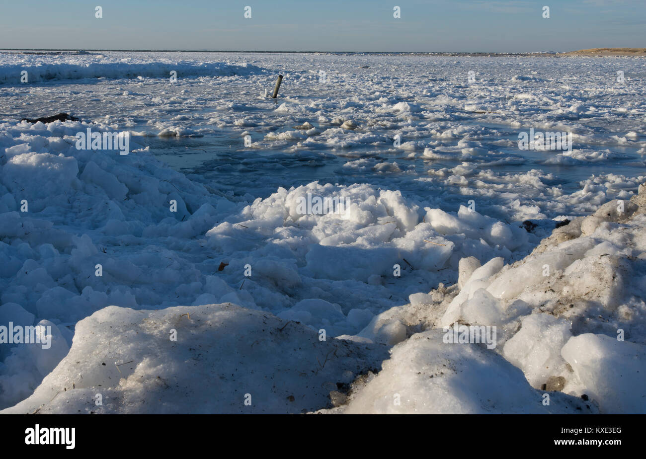 Eine gekühlte in Bass Loch in Barre, Massachusetts Auf Cape Cod, USA Stockfoto