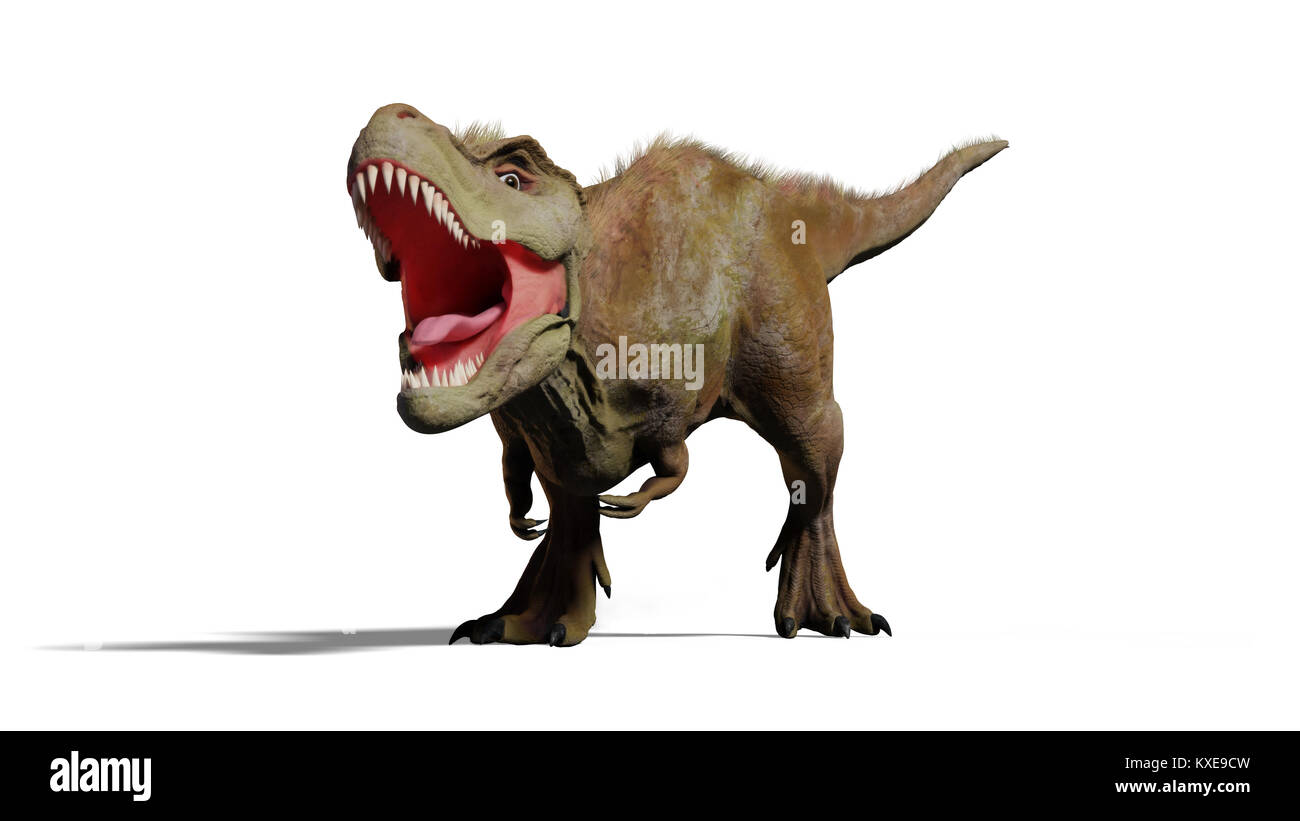 Tyrannosaurus rex brüllend, T-rex Dinosaurier (3D-Darstellung mit Schatten auf weißem Hintergrund) Stockfoto