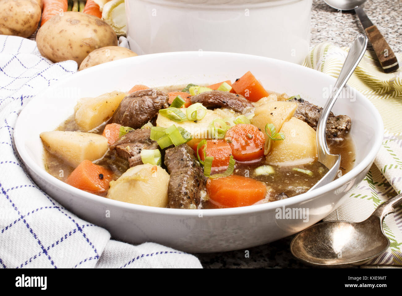 Irish Stew mit Rindfleisch, gekochte Kartoffel und geschnittene Karotte in einem tiefen weiße Platte Stockfoto