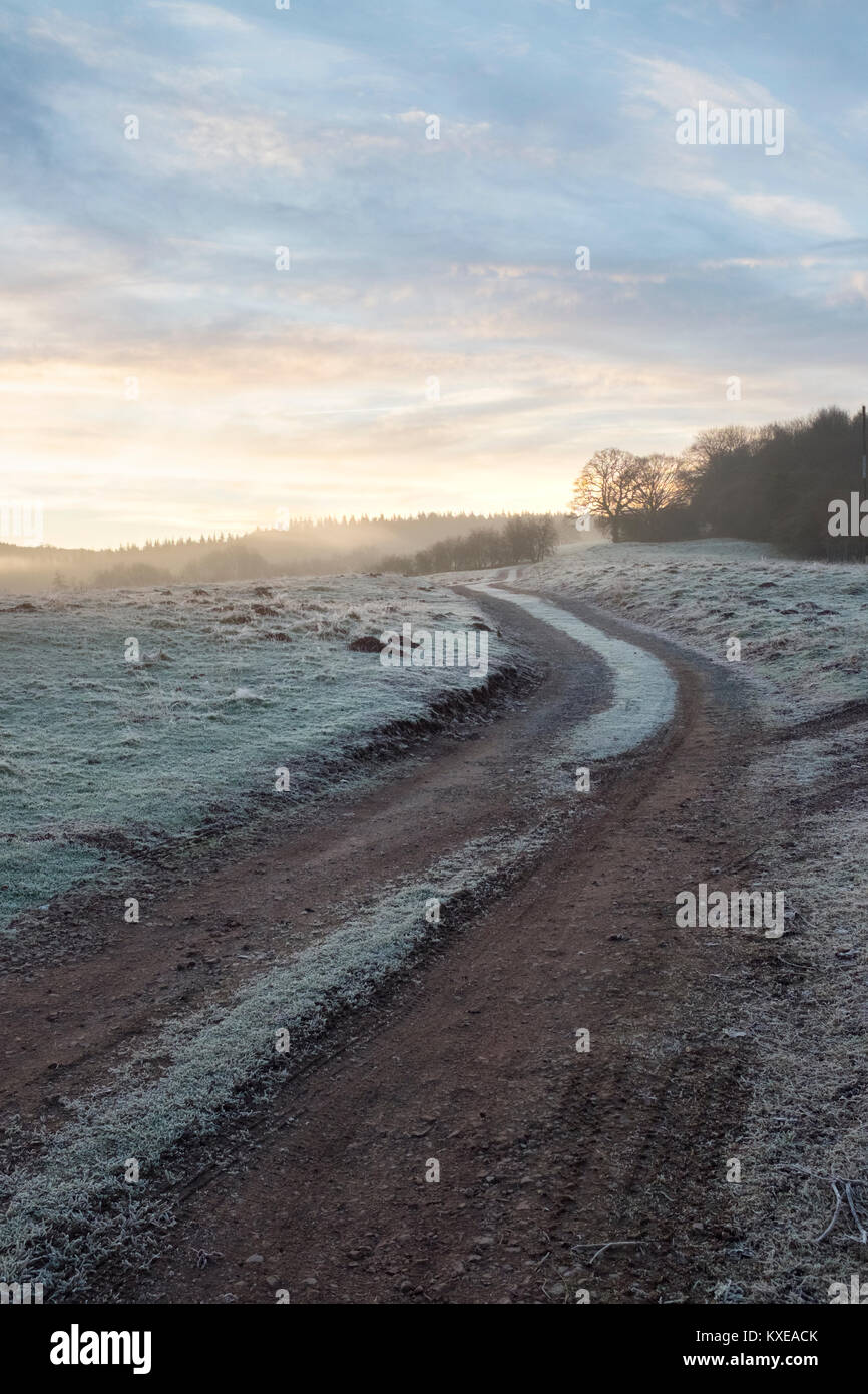 Bauernhof Schiene über frosty Felder. Stockfoto