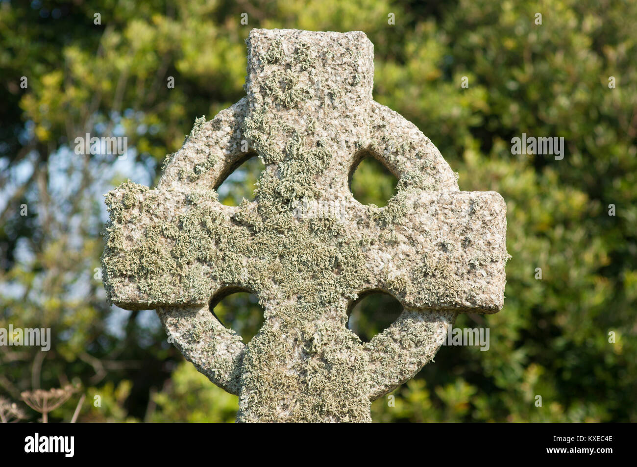 Cornish Celtic Cross, St Uny Church, Lelant, Cornwall, UK - Johannes Gollop Stockfoto