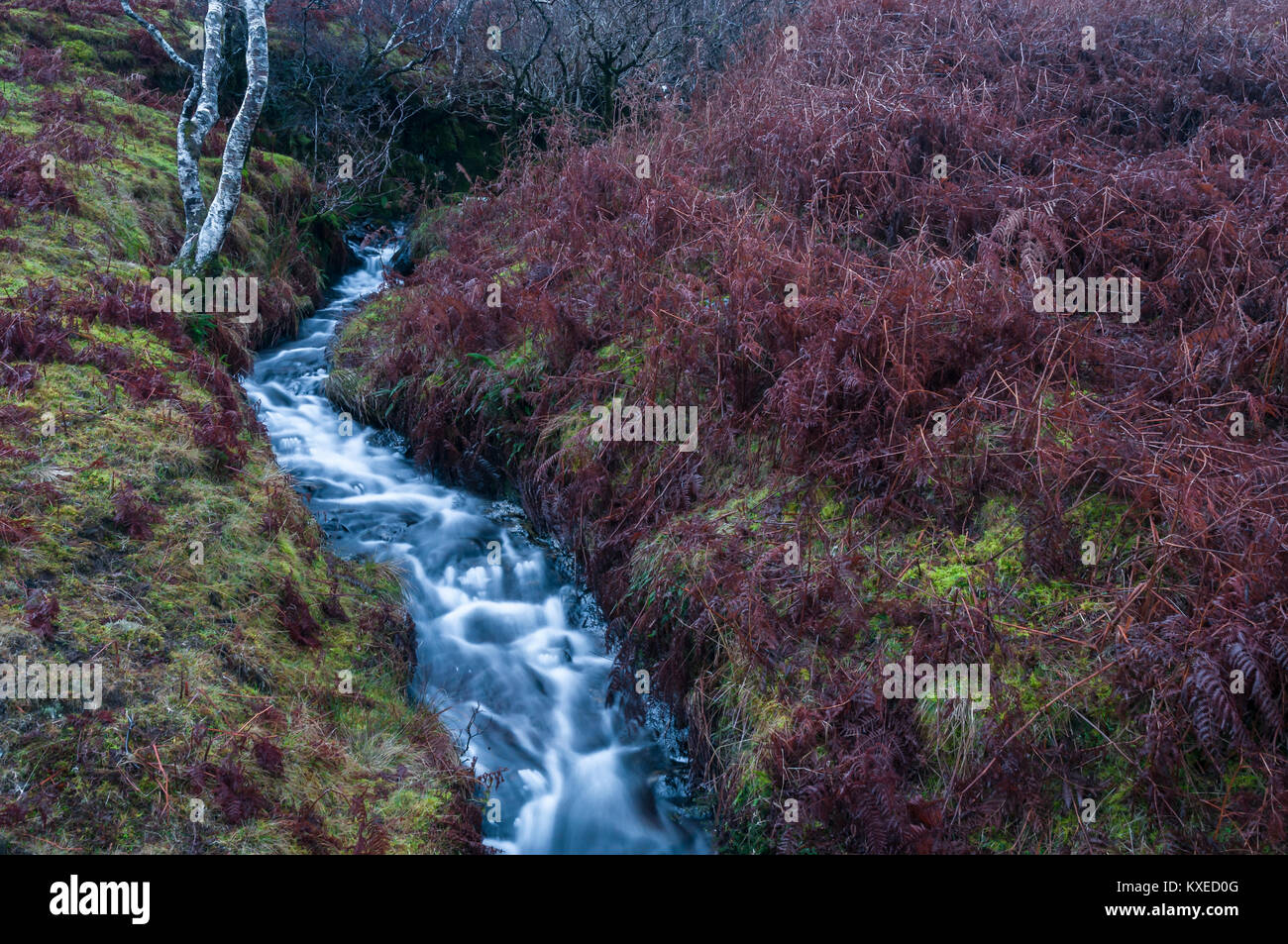 Wasser, das in einem Ardnamurchcan brennen nach starkem Regen, Lochaber, Schottland. 25. Dezember 2017. Stockfoto