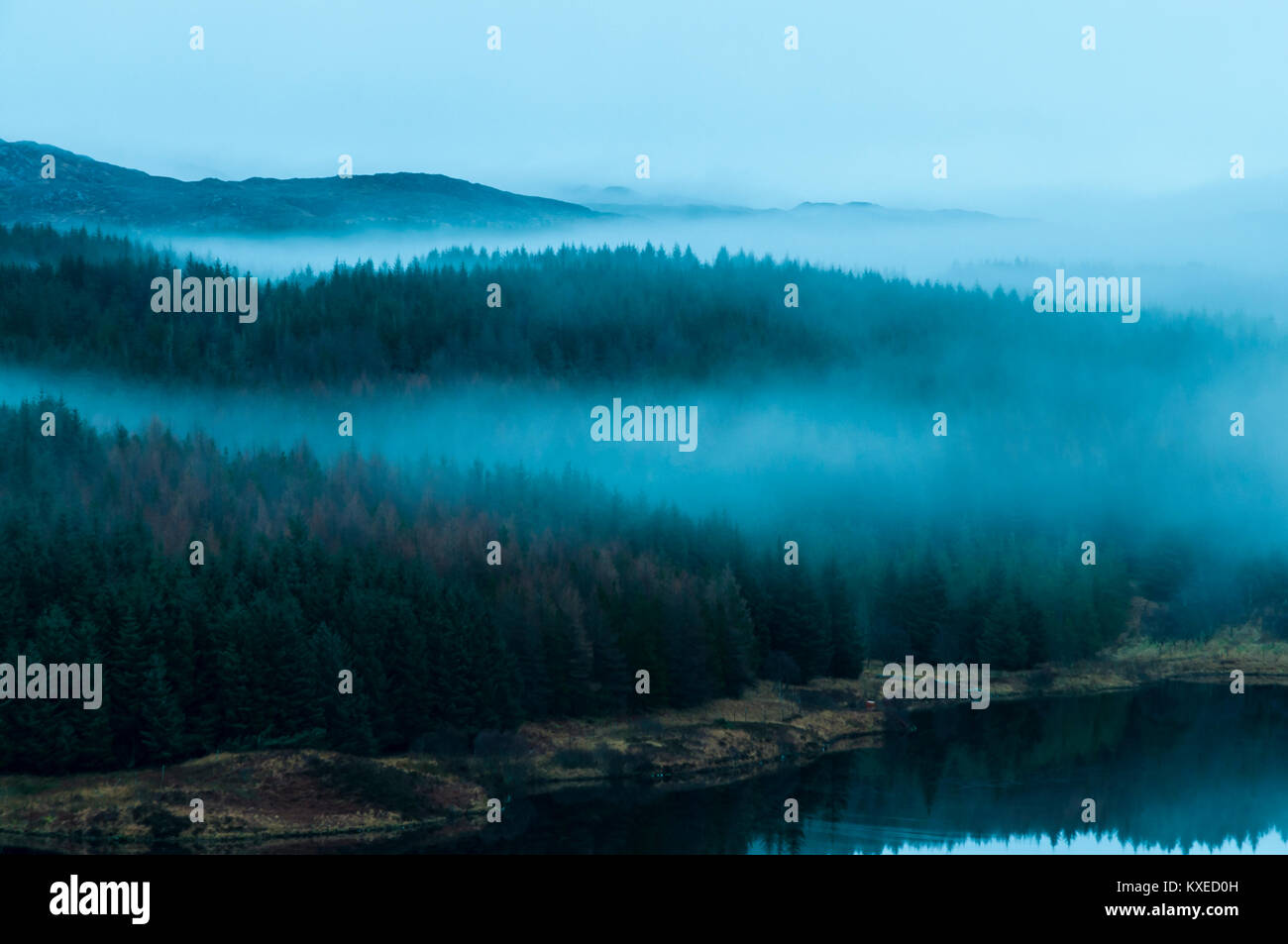 Nebel über dem Wald am Loch Mudle, Ardnamurchan in Lochaber, Schottland. 25. Dezember 2017. Stockfoto