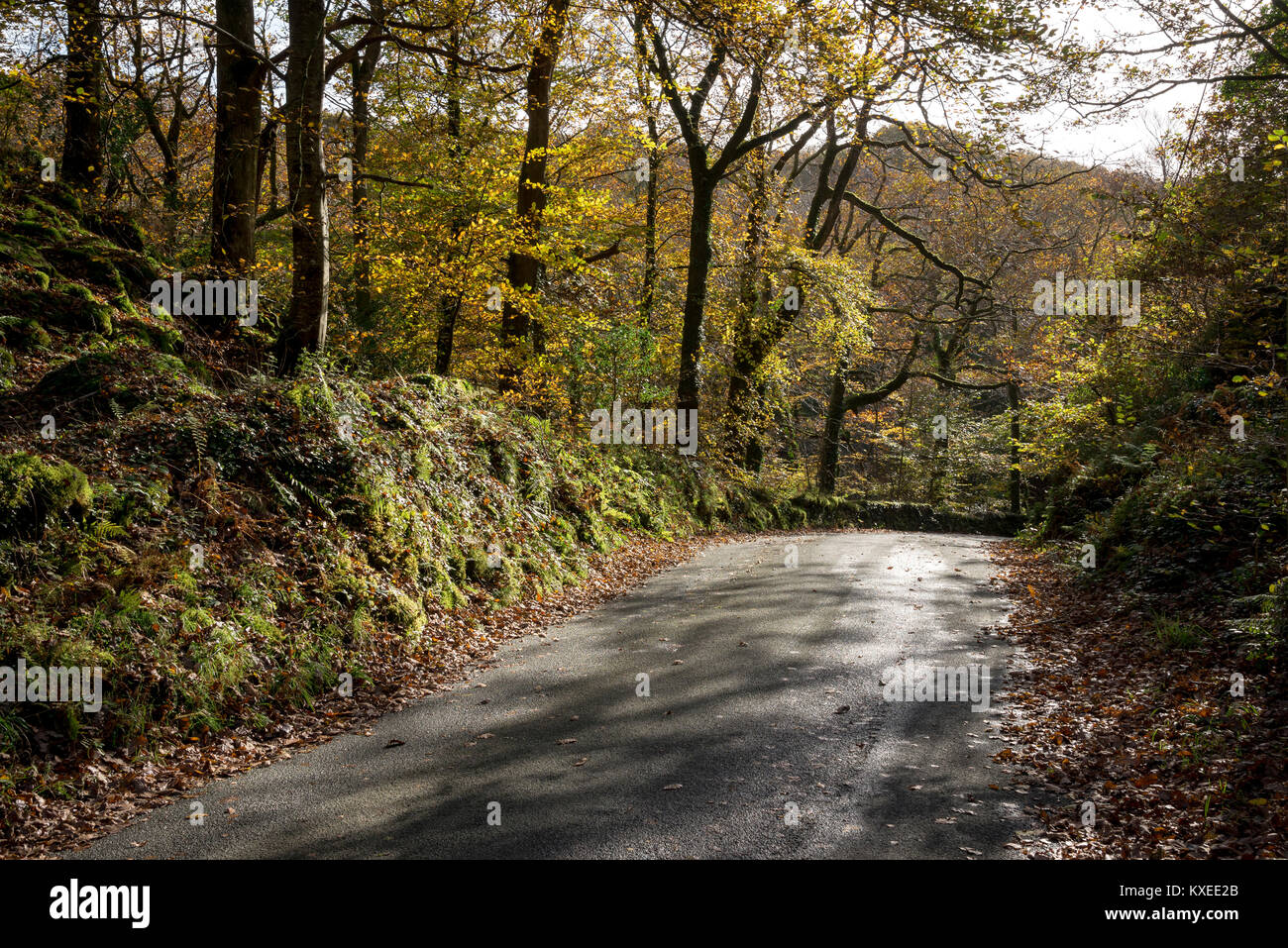 Ruhigen Landstraße im Norden von Wales an einem sonnigen Herbsttag. Pierrevert, Snowdonia, North Wales. Stockfoto