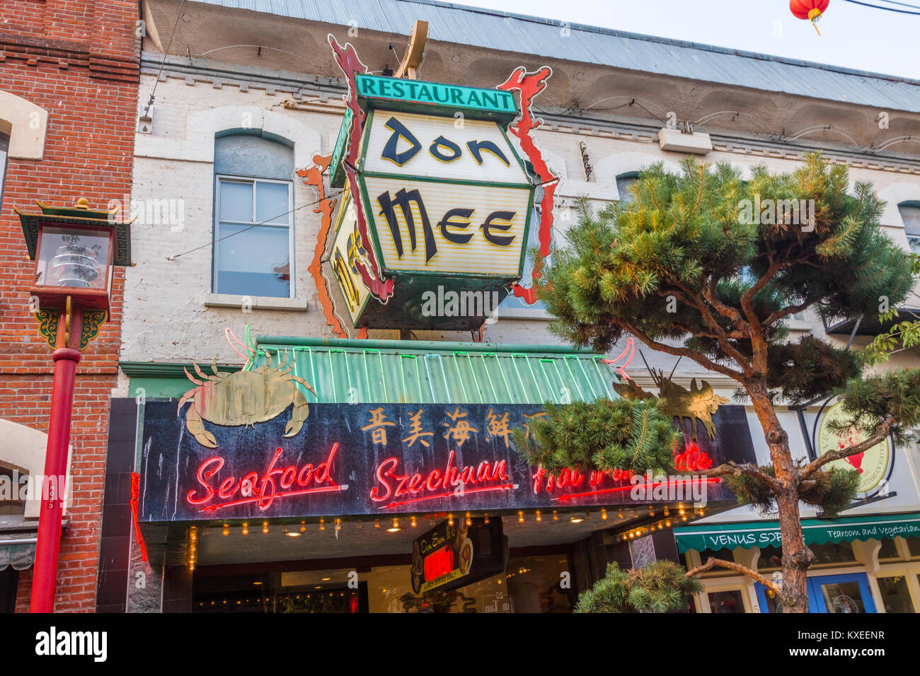 Chinatown in Victoria, der auch als Garden City auf Vancouver Island in British Columbia, Kanada bekannt Stockfoto