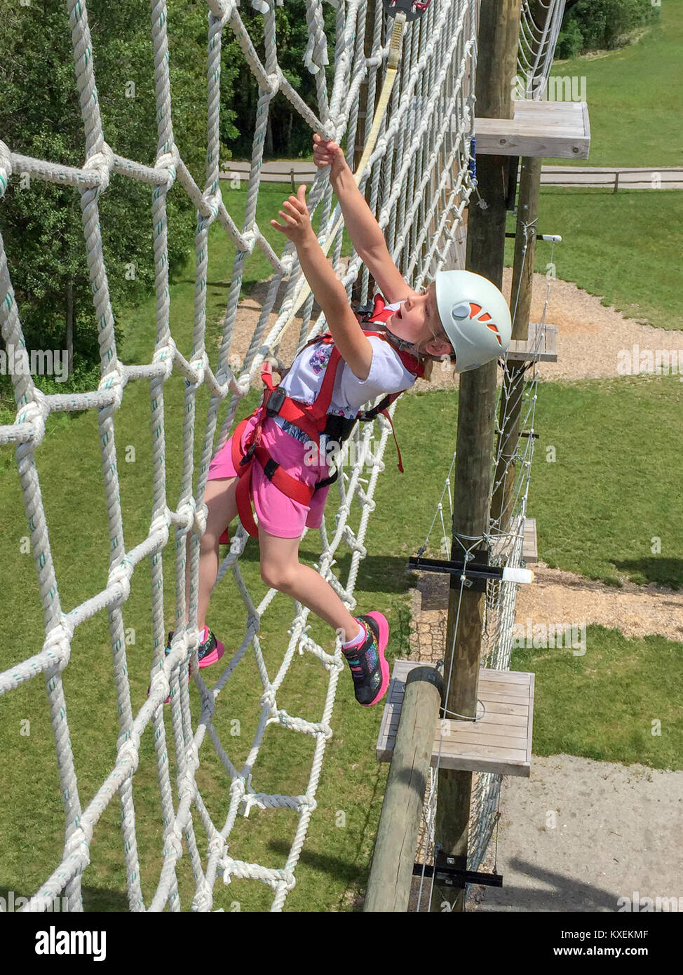 Wagemutige junge Mädchen klettern auf einer erhöhten Seil net auf einem Hindernisparcours. Erreichen für ein Haltegriff, Mut und Entschlossenheit zum Ausdruck zu bringen. Stockfoto