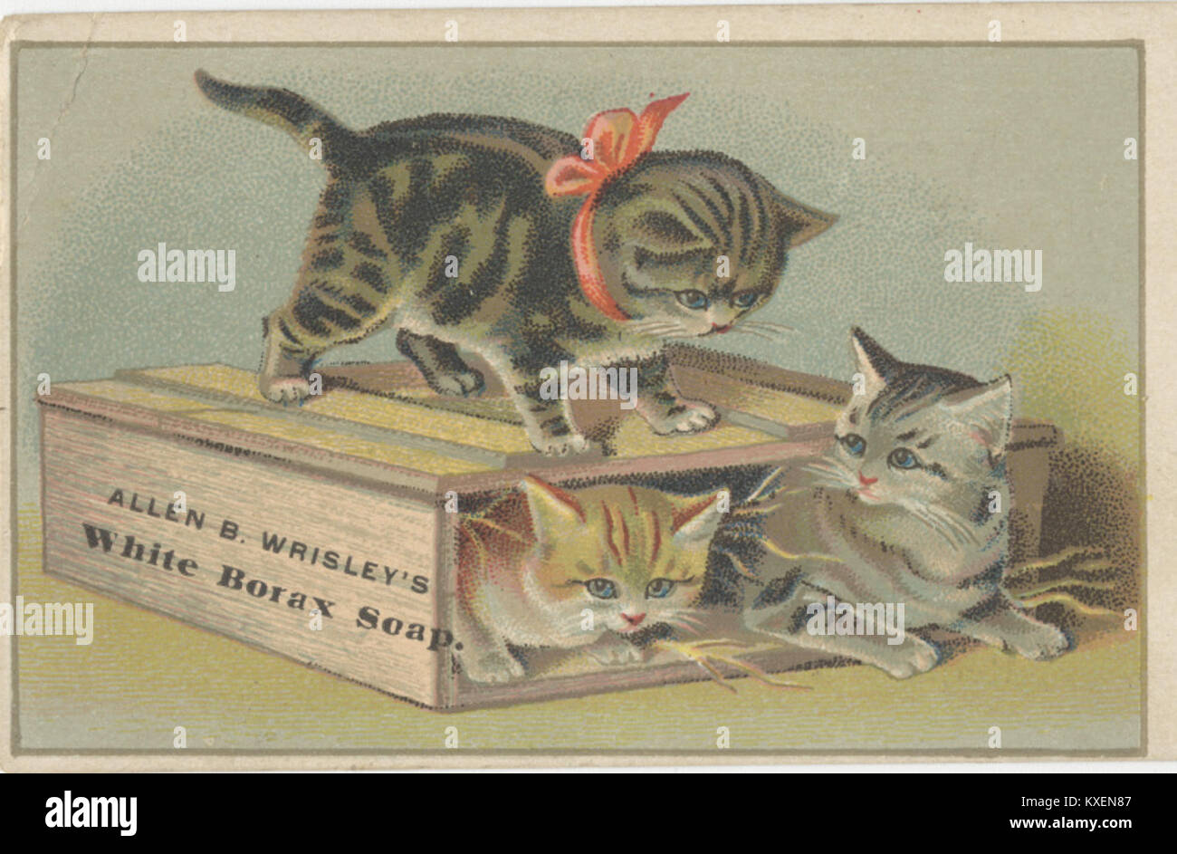 Bild von Allen B. Wrisley’s White Borax Seife, einem Hygiene- und Reinigungsprodukt aus dem späten 19. Und frühen 20. Jahrhundert, das in den Vereinigten Staaten für den privaten und privaten Gebrauch vermarktet wurde. Stockfoto