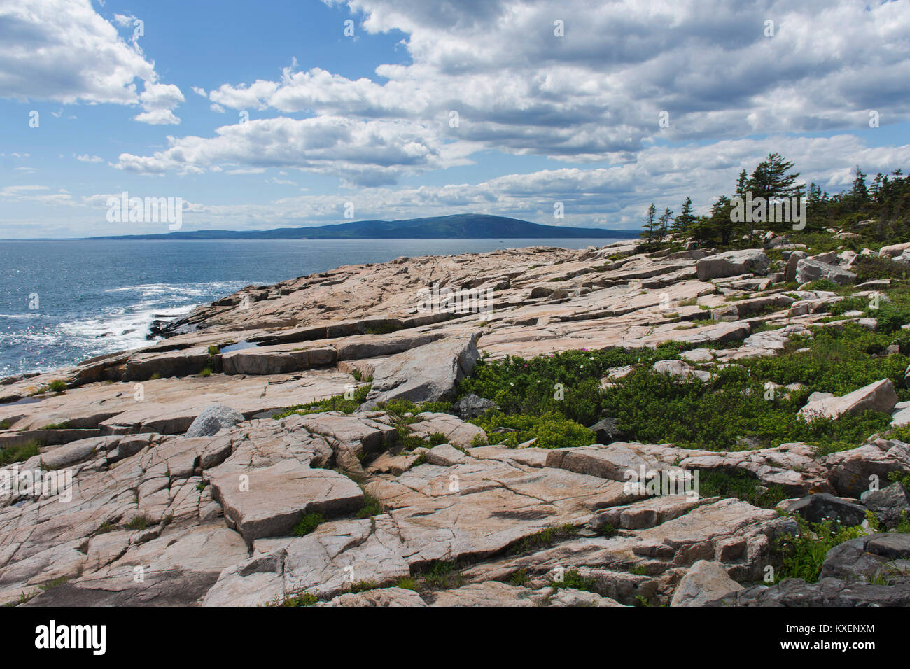 Schoodic Punkt Küstenlinie in Acadia National Park, Maine Stockfoto