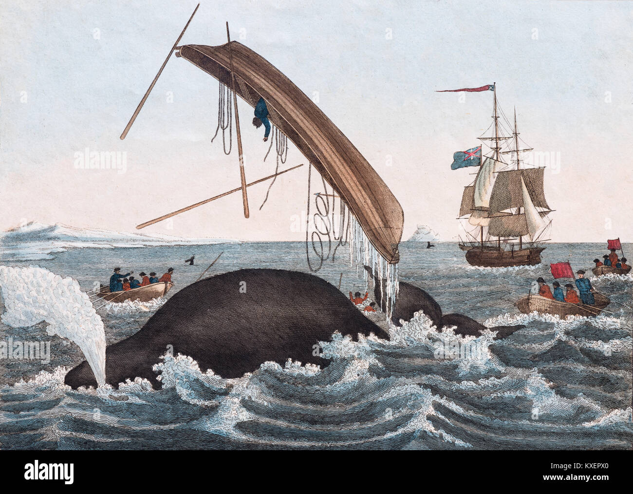 Gefahren des Walfangs, handcolorierte Kupferstich von Friedrich Justin Bertuch Bilderbuch für Kinder, Weimar, 1821 Stockfoto