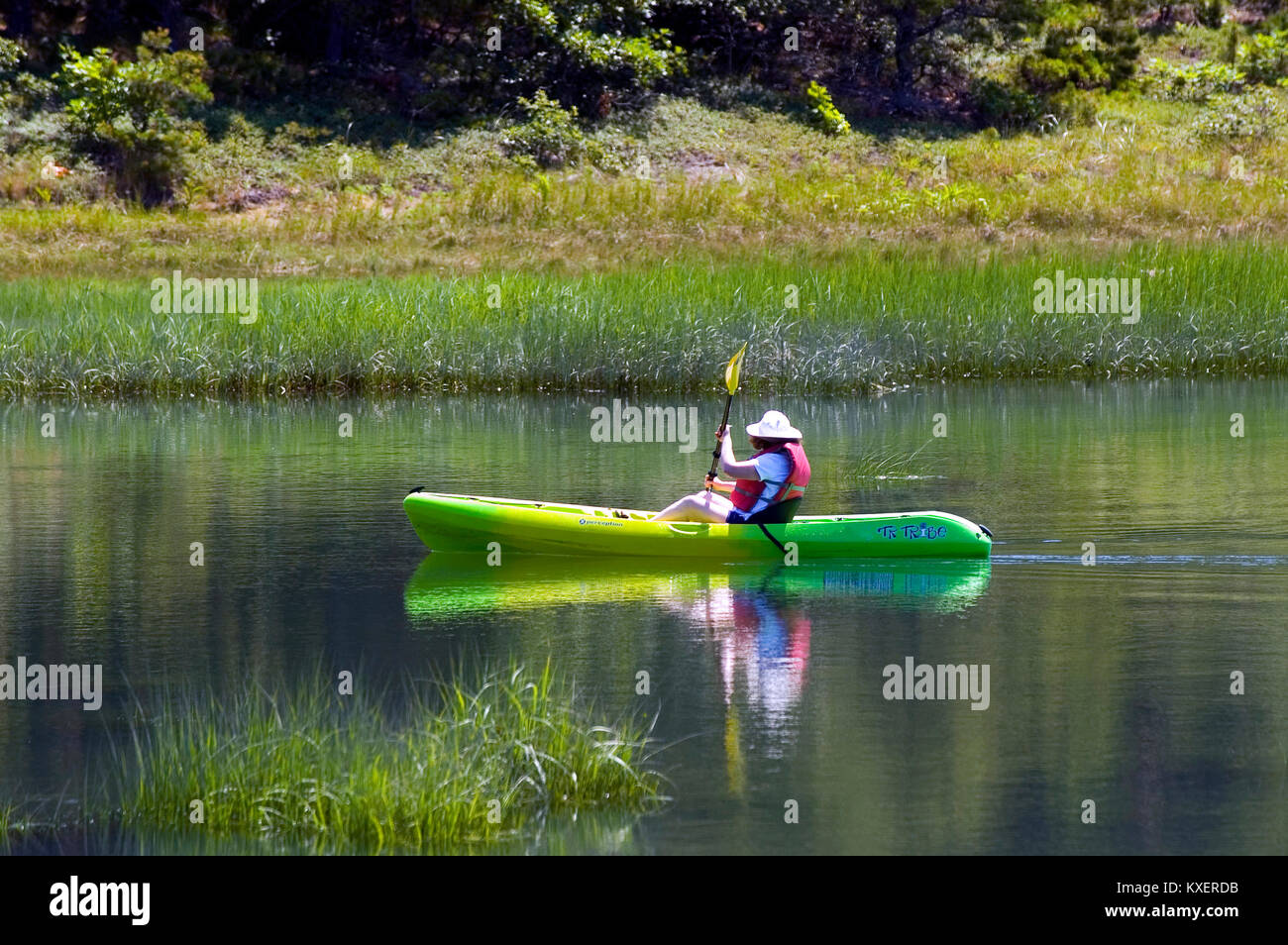 Ein KAYAKER erforscht ein Sumpf in der Nähe von Wellfleet Center Massachusetts Cape Cod, USA Stockfoto