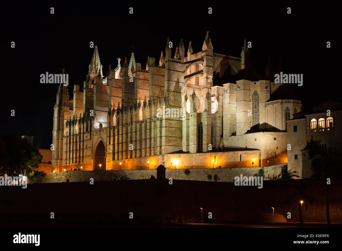 Nacht Blick auf Palma de Mallorca Kathedrale La Seu, vom Parc de la Mar Palma de Mallorca, Spanien Stockfoto