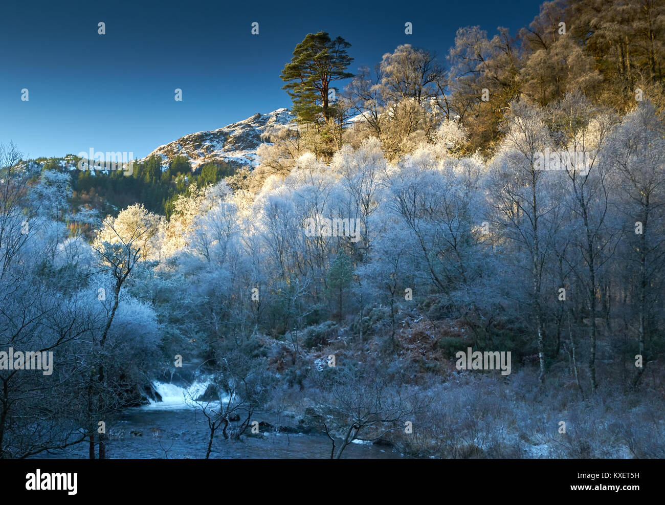 Winterlandschaft mit frostigen Bäumen und Wasserfall. Die Trossachs, Schottland, Großbritannien. Stockfoto