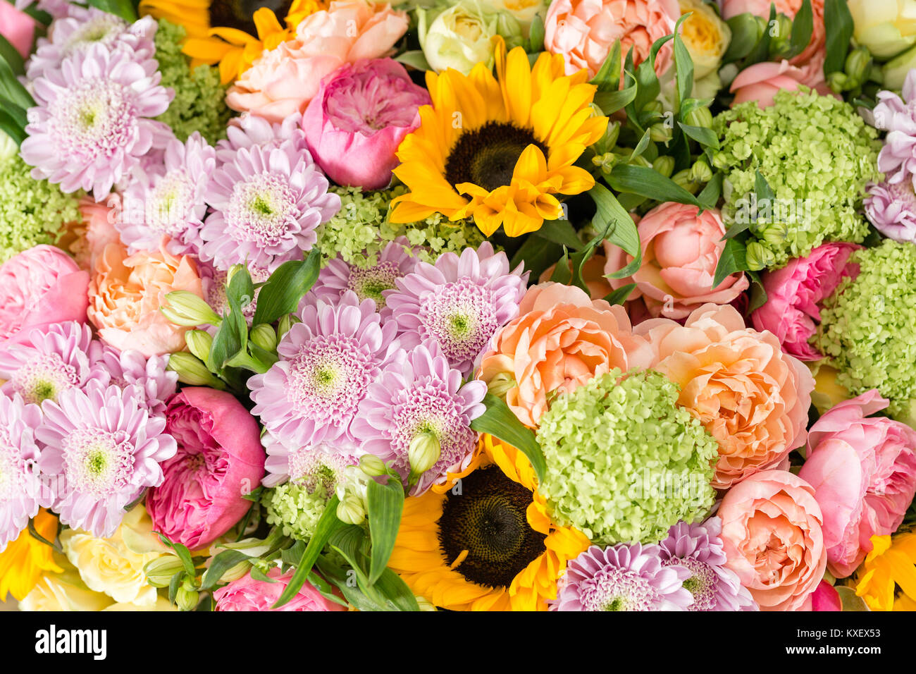 Schönen Blumenstrauß aus gemischten Blumen in einer Vase auf hölzernen Tisch. Die Arbeit der Florist in einem Blumenladen. Eine helle Mischung aus Sonnenblumen, Chrysanthemen und Rosen. Hintergrund auf Vollbild Stockfoto