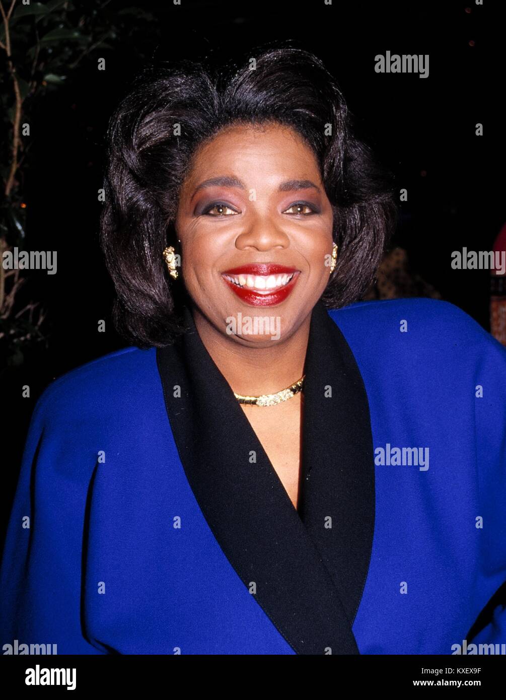 RTMcbride/MedaPunch Oprah Winfrey 1990 N.A.T.P.E. TV CONVENTION NEW ORLEANS KREDIT ALLE ANWENDUNGEN Stockfoto