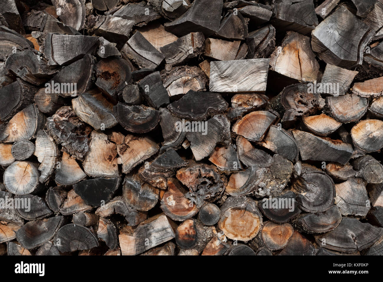Stapel von Holz als Hintergrund, Textur. Brennholz Stockfoto
