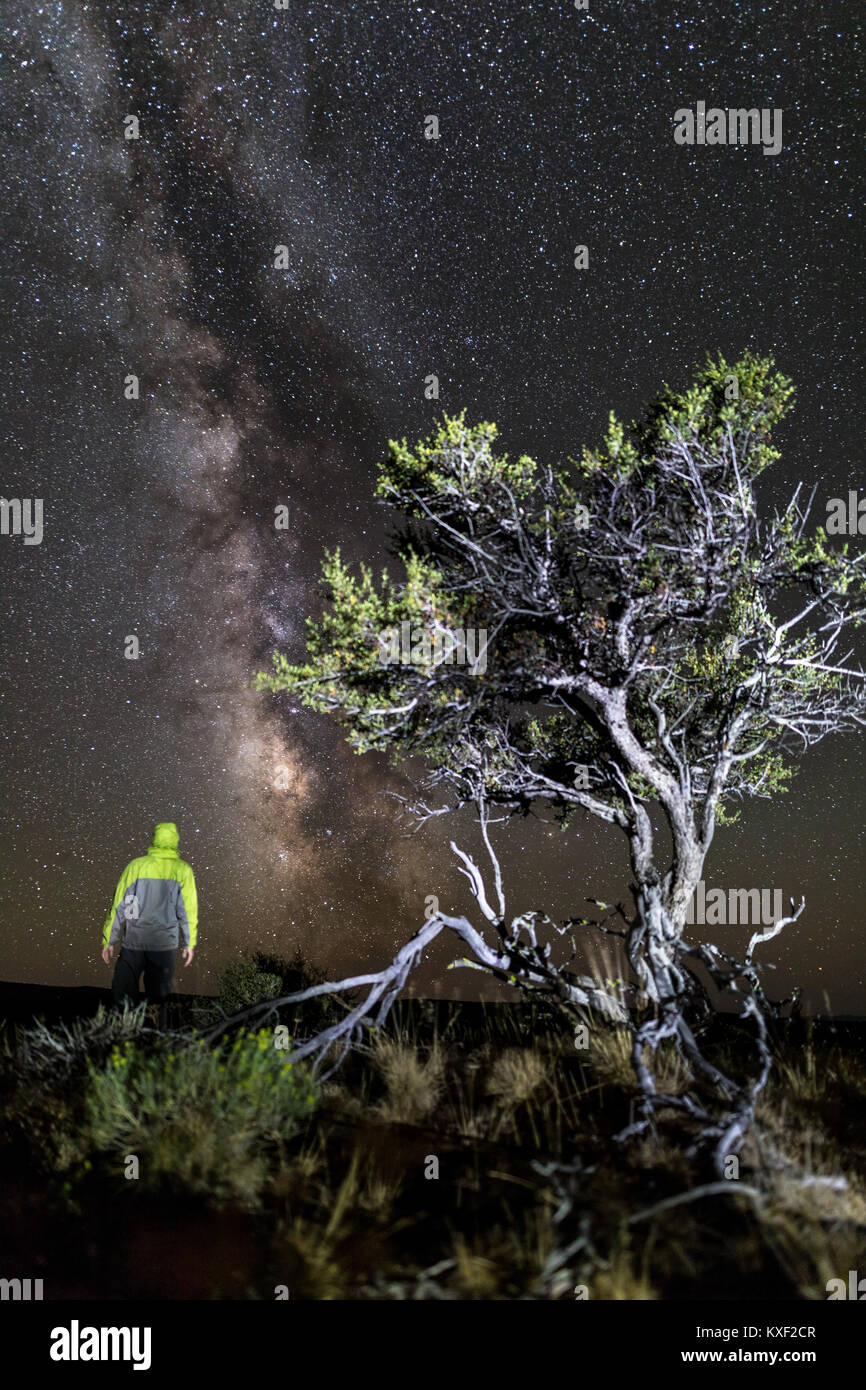 Ein Mann starrt in Ehrfurcht an der Milchstraße von Steens Mountain, Oregon. Stockfoto