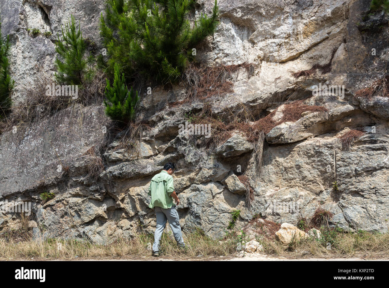 Ein geologe aus Felsen auf einer Straße schnitt zutage. Madagaskar, Afrika. Stockfoto