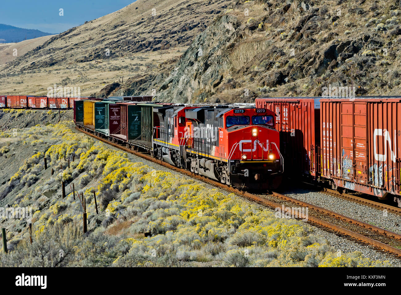CN Rail gemischten Güterzug Richtung Osten geführt von Lok 2273 geht ein weiterer Fracht in Savona Abstellgleis entlang Kamloops Lake - BC 20101006 Stockfoto