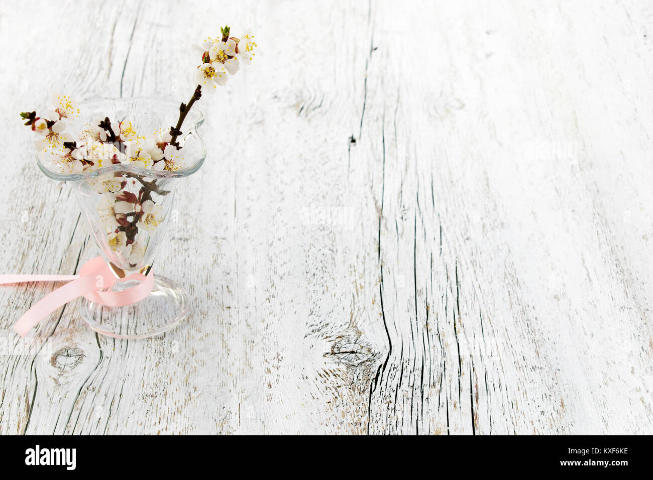 Blühende Aprikose Niederlassungen in eine Vase aus Glas in den verschwommen weiß Holz- Hintergrund. Licht Farben Foto Stockfoto