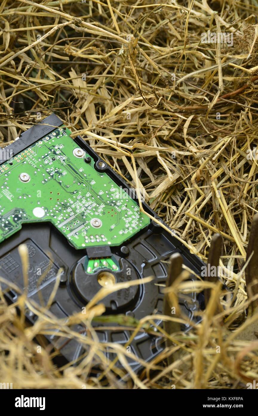 Datenverlust Stockfoto