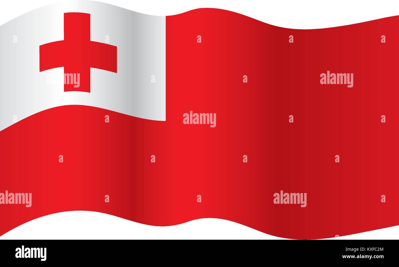 Tonga Flagge, Vektor, Abbildung Stock Vektor