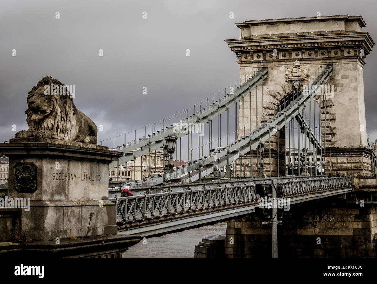 Széchenyi Lánchíd, Kettenbrücke mit eine Löwenstatue am Brückenkopf, Donau, Budapest, Ungarn, Europa Stockfoto