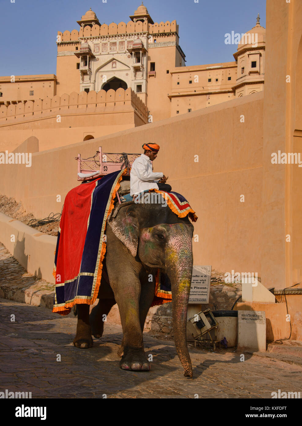 Elefanten reiten an der Amer Fort, Jaipur, Indien Stockfoto