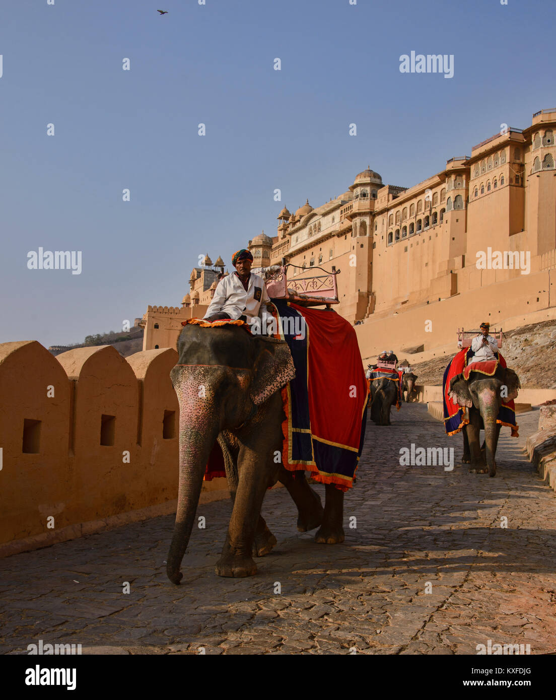 Elefanten reiten an der Amer Fort, Jaipur, Indien Stockfoto