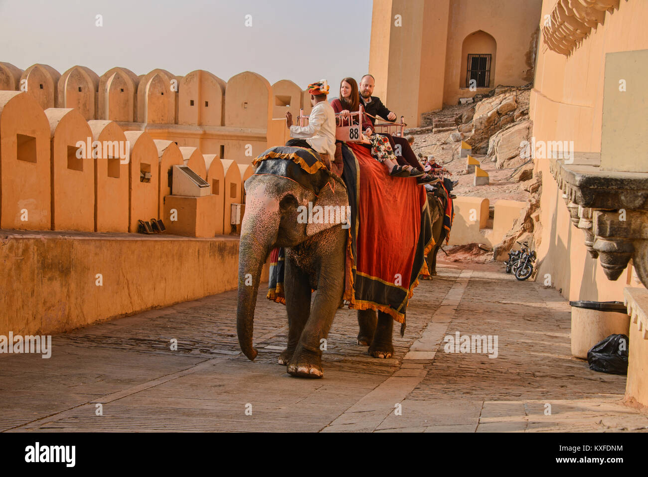 Elefanten reiten an der Amer Fort, Jaipur, Indien Stockfoto