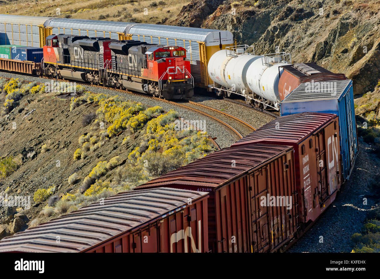 CN Rail intermodalen Zug Richtung Osten geführt von Lok 8006 geht ein weiterer Fracht in Savona Abstellgleis entlang Kamloops Lake - BC 20101006 Stockfoto