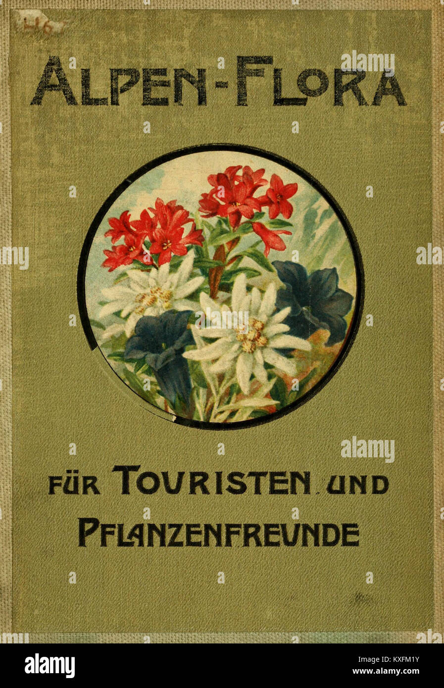 Alpen-Flora für Touristen und Pflanzenfreunde (6021498049) Stockfoto