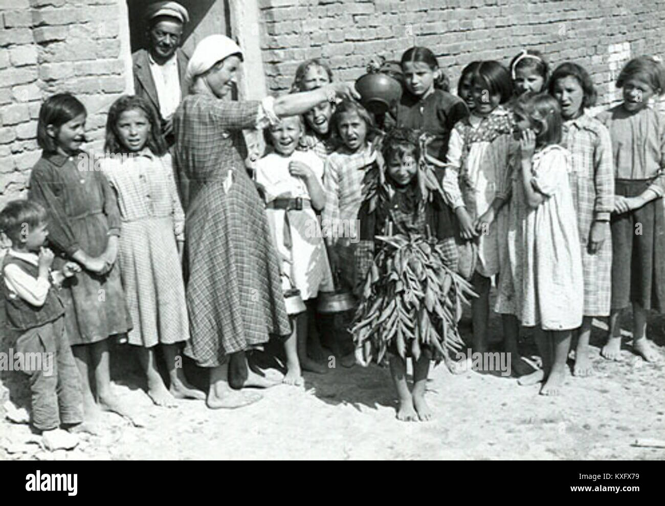 Dieses Foto aus dem Jahr 1950 zeigt einen Schmetterling in Dobruja, einer Region in Südosteuropa, die für ihre vielfältige Flora und Fauna bekannt ist. Das Bild zeigt die Artenvielfalt des Gebiets und unterstreicht den ökologischen Reichtum der Dobruja Mitte des 20. Jahrhunderts. Stockfoto