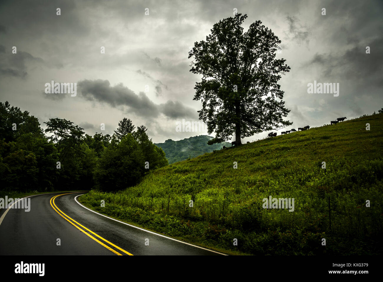 Landstraße von Wiese gegen stürmische Wolken Stockfoto
