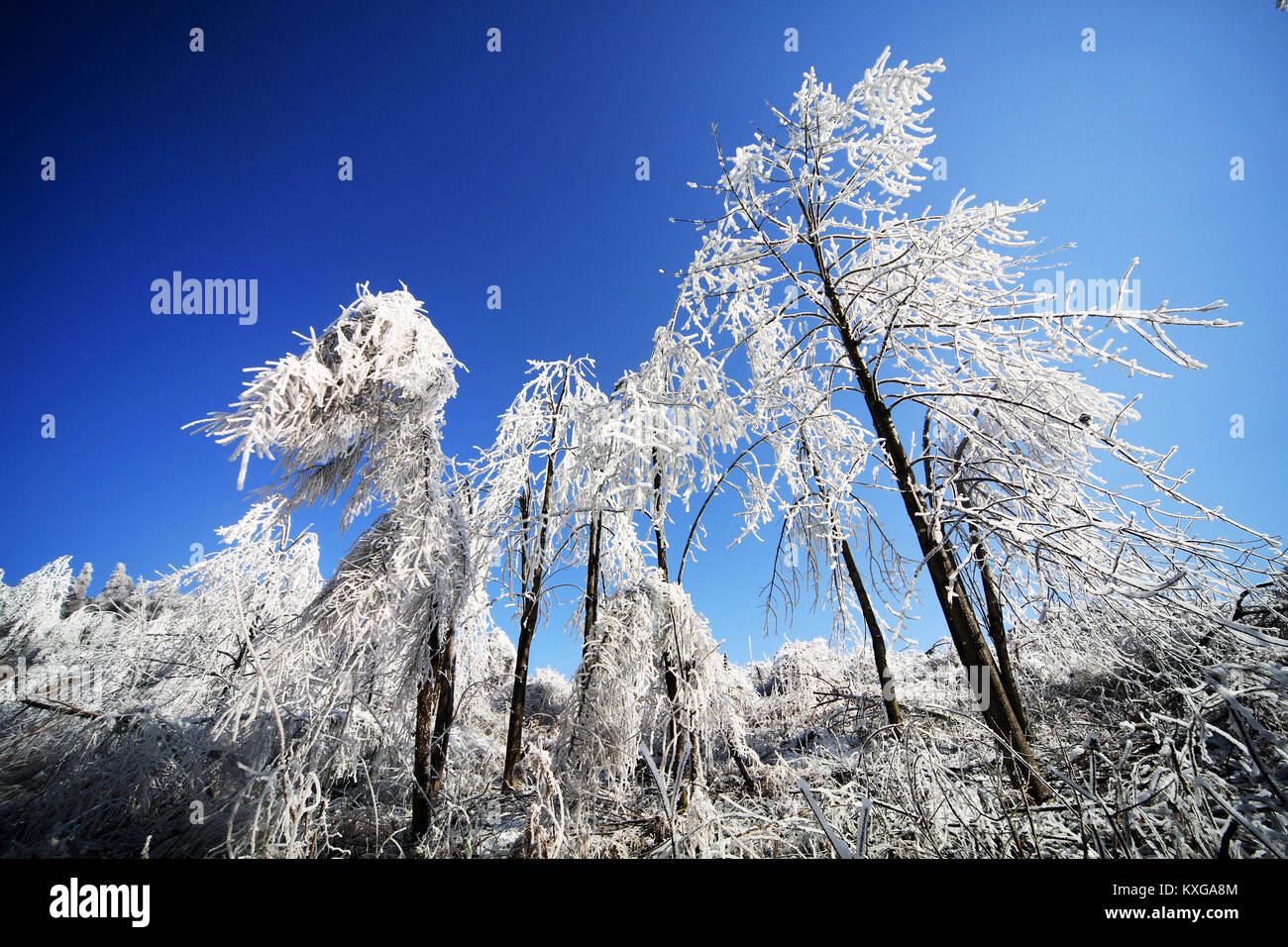 Xiangxi. 9 Jan, 2018. Foto auf Jan. 9, 2018 zeigt die Landschaft nach Schneefall in Da'eine Stadt, Longshan County, der Central China Provinz Hunan. Credit: Zeng Xianghui/Xinhua/Alamy leben Nachrichten Stockfoto