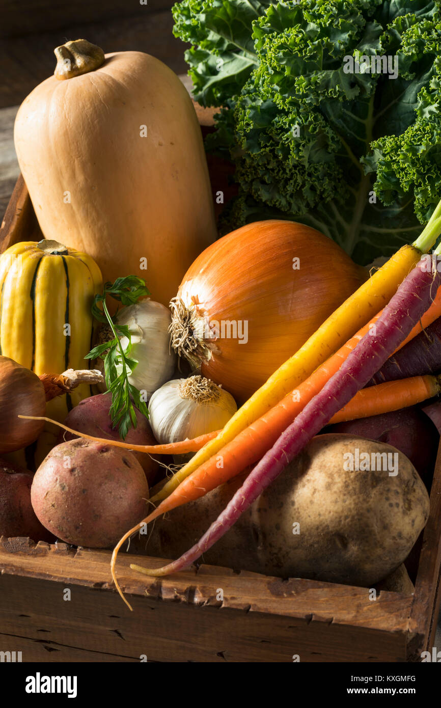 Raw Organic Winter Farmers Market Box mit Kartoffeln Knoblauch Zwiebel Squash und Kale Stockfoto